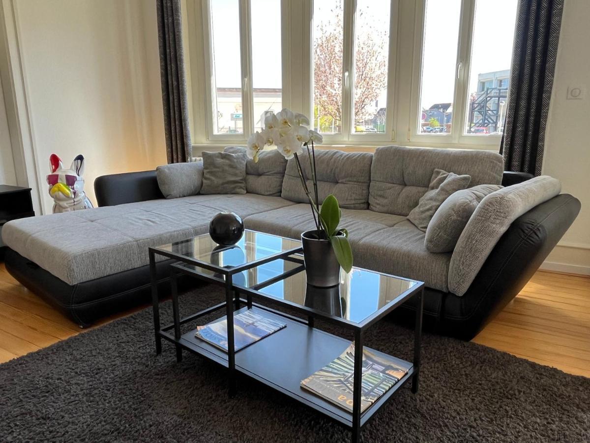 Appartement De Prestige Au Centre Climatise Avec Jardin Prive กอลมาร์ ภายนอก รูปภาพ